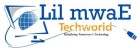 Lil Motors